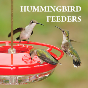 Hummingbird Feeders