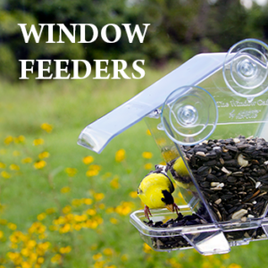 Window Feeders