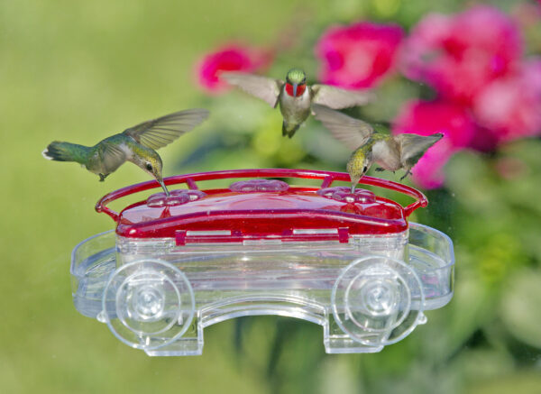 Jewel Box - Window Hummingbird Feeder