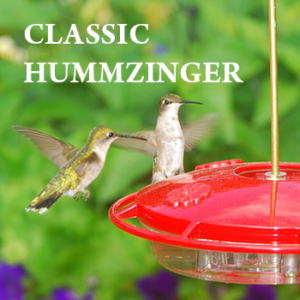 Classic Hummingbird Feeders