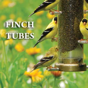 Finch Tubes - Quick-Clean