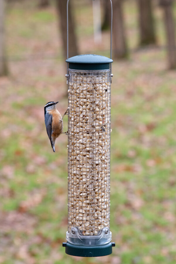 QC Spruce - Peanut Mesh Feeder - Medium - Image 2