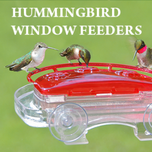 Hummingbird Window Feeders