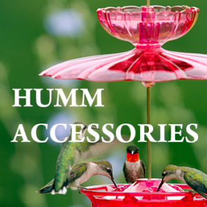 Hummingbird Feeder Accessories